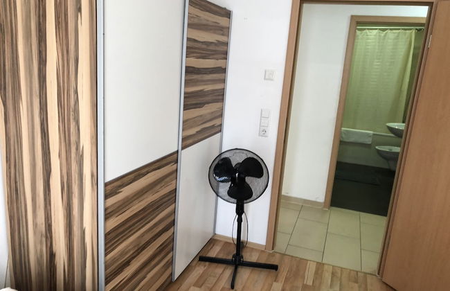 Sahara Falcon - Foto 10