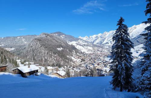 Lake Annecy Ski Chalet with Jacuzzi - Foto 6