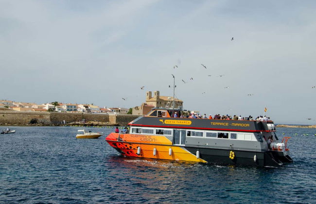 Glass-Bottom Boat Day Trip to Tabarca - Photo 1