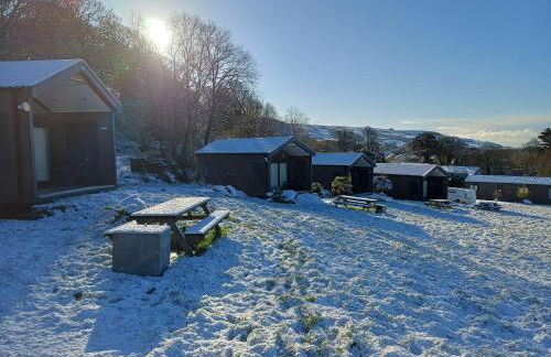 CABIN 8 Pet friendly Family glamping Seaview - Photo 40