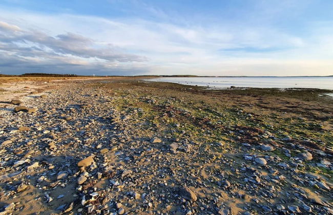 Modern Retreat in Klitgards-by Traum - Foto 36