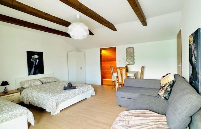 7 private Rooms in a spacious Villa - Foto 61