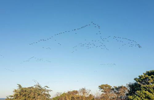 The Ballroom - Foto 73