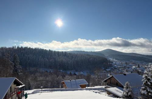 Chalet Zeitlos - Bodenmais - Foto 24