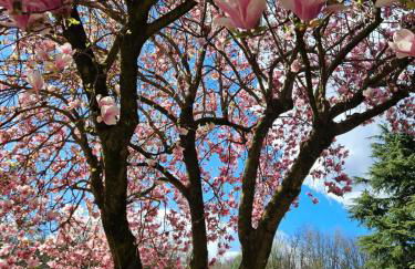 La casetta di Gianni - Foto 2