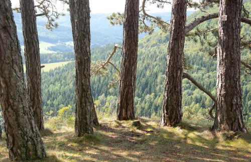 Living in Nature - Foto 29