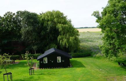 Ferienhaus Achtern Diek - Foto 27