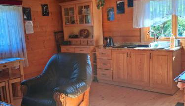 Siedlisko Sielska Dolina Nad Stawem luksusowy domek całoroczny z klimatyzacją - Foto 5