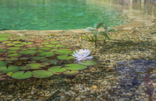 Holiday Home Angelina by Interhome - Foto 54