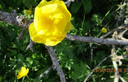 Val d'Azur Plein sud Face aux Pistes - Foto 21