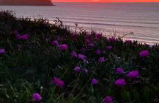 La Morada de Sana - Foto 29