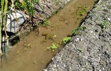 My Portugal for All - Lousada Villa - Foto 66