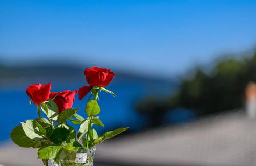 Apartman Marina - Foto 29