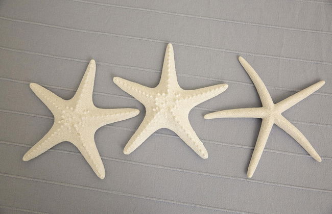 Belvilla by OYO Rifugio - Foto 22