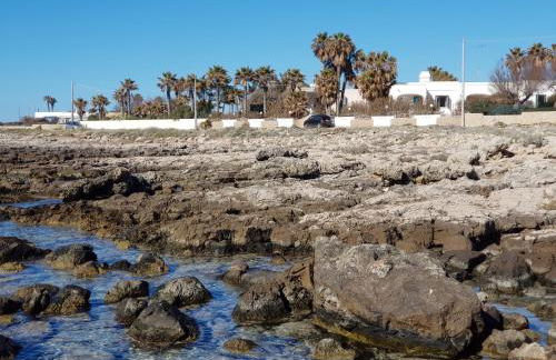 RESIDENCE OASI SUL MARE - Foto 10