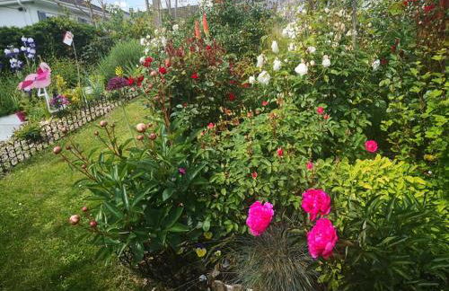 La Bulle Bleue Futuroscope - Foto 41