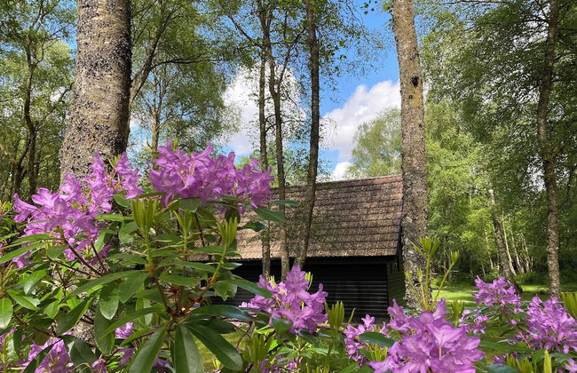 Burnbank Lodges - Foto 1