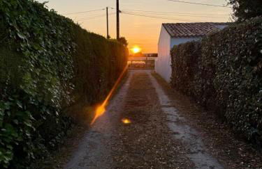 Maison de charme First d'Aromm - Plages, centre ville, phare de Chassiron - Calme, jardin clos, terrasse - Foto 26