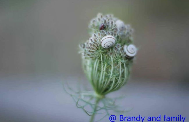 Stratos Villas - Foto 36