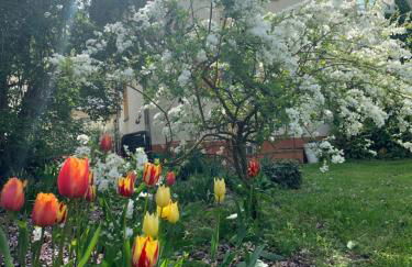 Apartament Blumenblick - Foto 30