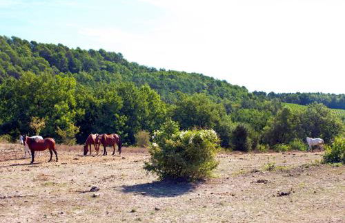 Holiday Home Villa Gaïa by Interhome - Foto 58