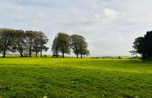 Wild Meadow Cottage - Countryside Views and King Bed - Foto 23