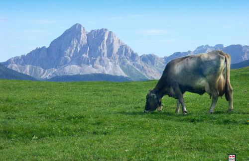 Vitroler Hof - Photo 7