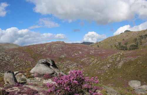 Casa do Azevim - Foto 71