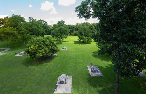 5 O Clock Somewhere WW H302 - Foto 35