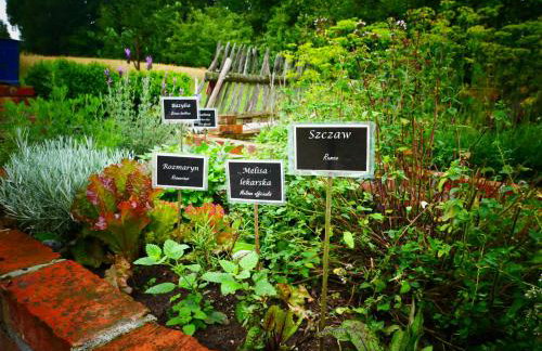 Chata na Zielonym Wzgórzu - Foto 57