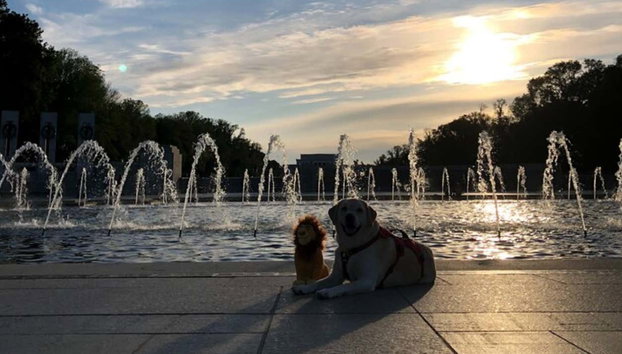 Tour serale di Washington DC - Foto 3