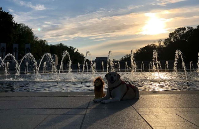 Washington DC Night Bus Tour - Photo 2