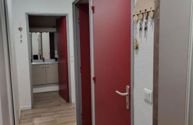 Agréable appartement de 6 pers au pieds des pistes ,wifi gratuit à Saint-Sorlin-d'Arves labelise 3 étoiles au gîte de France - Photo 25