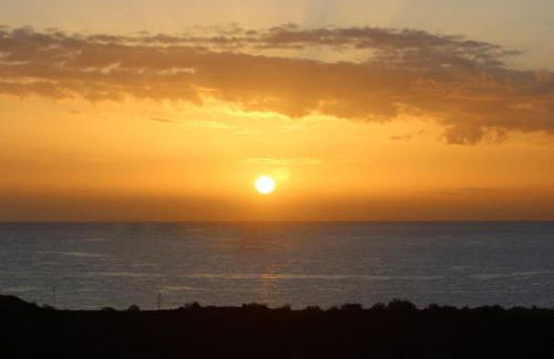 Apt El Perenquen - Foto 6