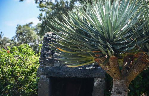 Quinta dos Frutos - Foto 60