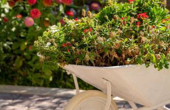 House FIDULIC - apartment THE LAVENDER - Foto 47