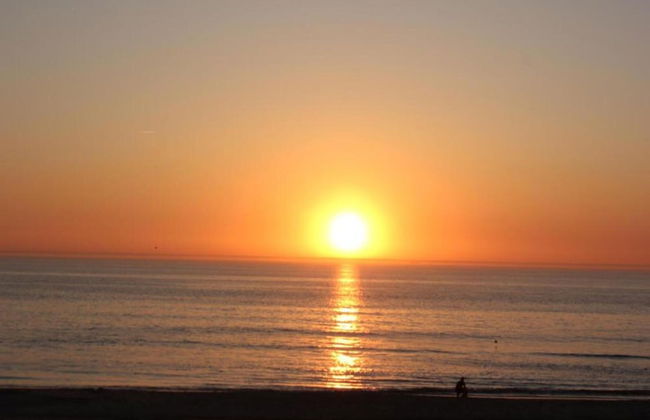Restyled Chalet With Dishwasher, Near the Sea, on Texel - Foto 42