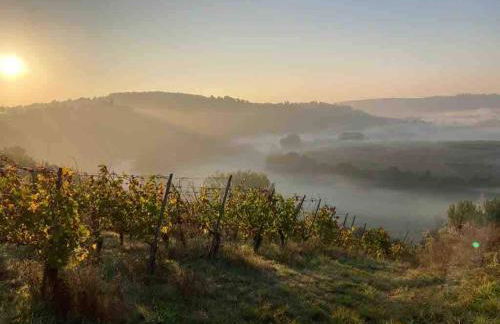 Idyllische Gemütlichkeit I die schwäbische Toskana I 15min von Stuttgart - Foto 17
