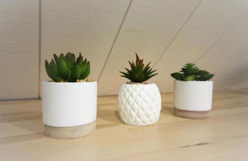 Le Chalet - Résidence Chez Gally à Angers - Photo 7