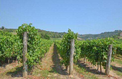 2 Bedroom Nice Home In Pulfero - Foto 29