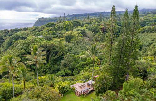 Jasmine Suite on Lush farm in Haiku, Maui jungle - Photo 26