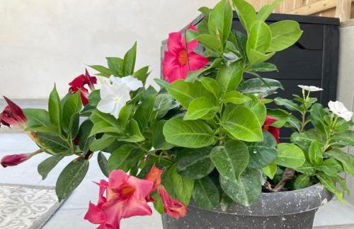 Talia open space di Sulemmari - Foto 28