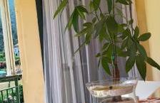 Paride's House - Foto 11