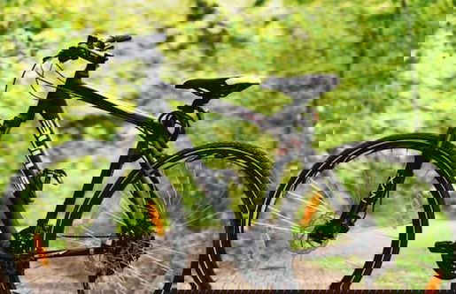 Mas Vedruna - Photo 31