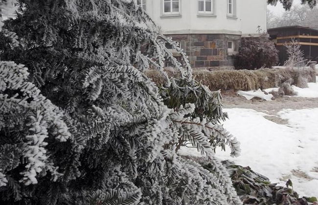 Ferienhaus XXL Deutschland - Foto 18