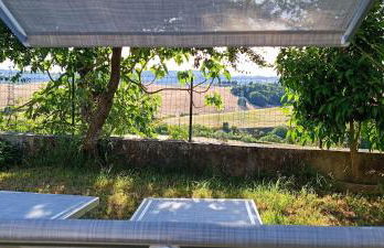 All'ombra del pino ALLOGGIO TURISTICO - Foto 9