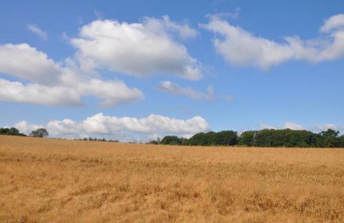 Geräumige 2-Z WOHNUNG im GRÜNEN, GARTEN, TERRASSE, RUHIG, NATUR, PHANTASTISCHER BLICK! - Foto 9