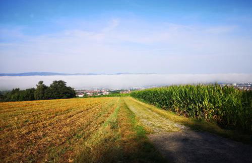 Schrauts Unwesen - Photo 54