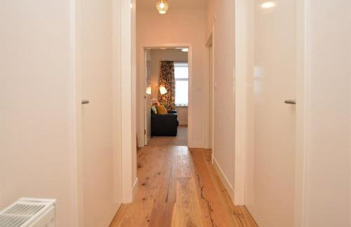 Pedals and Paddles - Foto 7