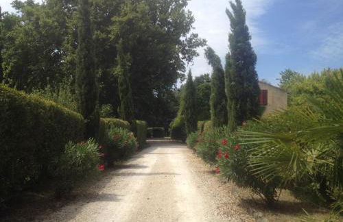 La Jacquemarie - Foto 17